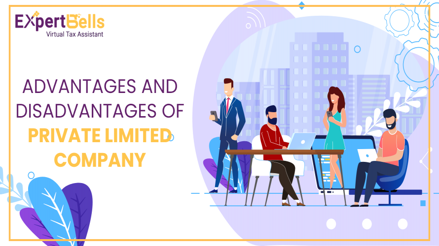 Advantages and Disadvantages of Private Limited Company